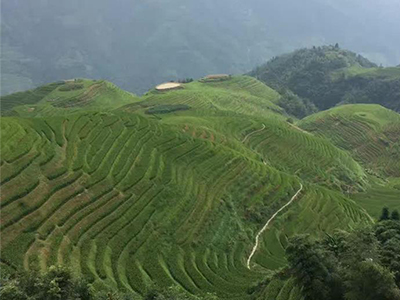 “綠水青山就是金山銀山”環境日主題