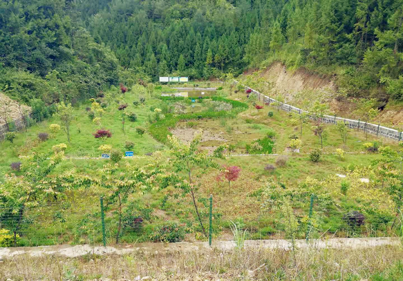 騰沖市中和鎮新岐社區傳統村落環境綜合治理項目